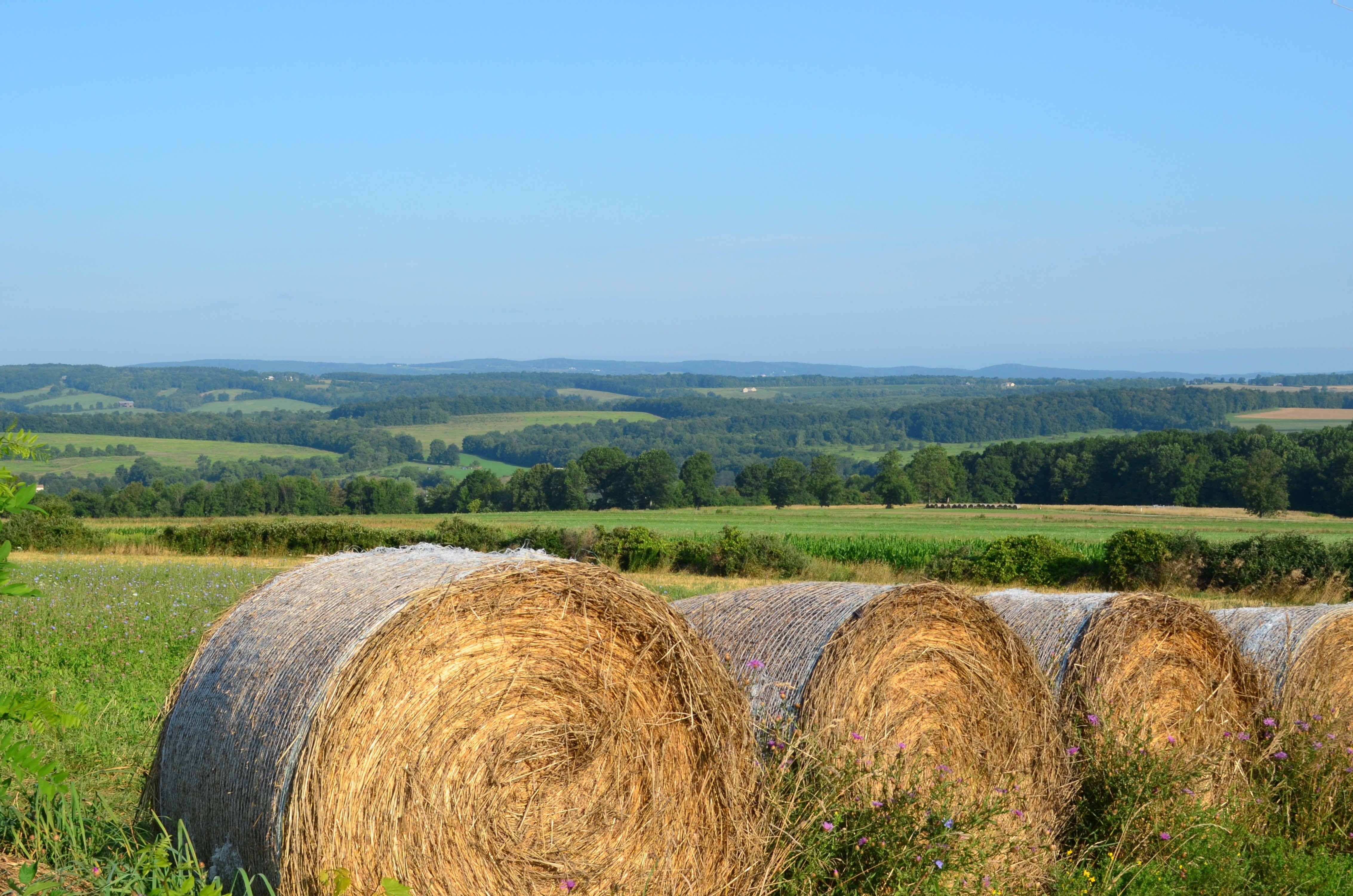 local Central New York farms